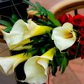 Советы от гуру этикета: Как правильно дарить цветы
