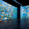 Тюмени открылась выставка «Ван Гог – живые полотна»